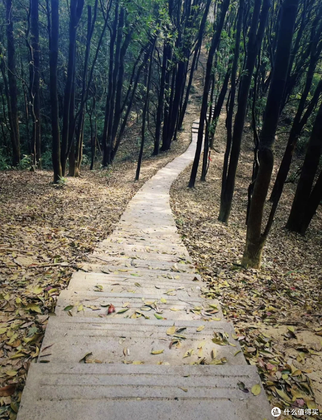 徒步爬山⛰ | 广州年轻人周末最爱的户外运动！