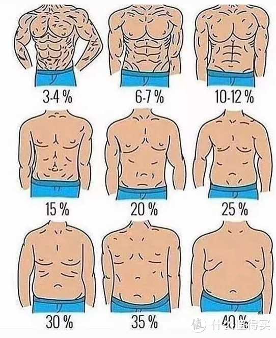 男性体脂率变化