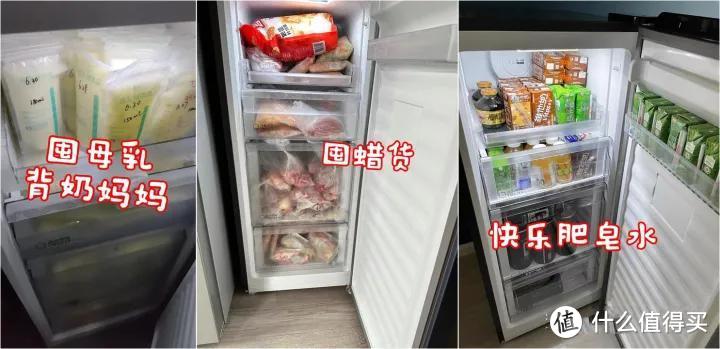 如何选购家用冷柜？果蔬禽蛋鱼肉多种食材存储，囤货党居家必备，家用冷柜选购攻略