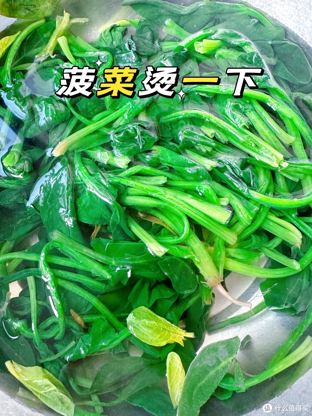 我的100种减脂计划之多吃蔬菜🥬