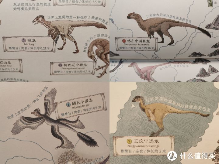 第一次发现，恐龙科普书竟然还可以这样写——《中国恐龙地图》