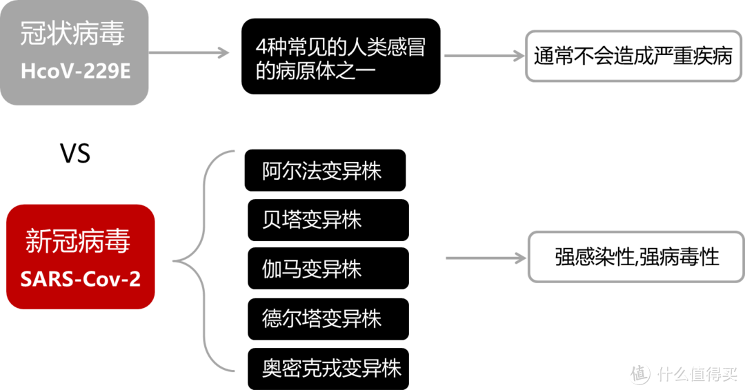 空气消毒机可以消杀新冠病毒吗？医芯空气消毒机O4B真实使用体验