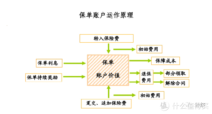 一起来聊聊万能账户~~