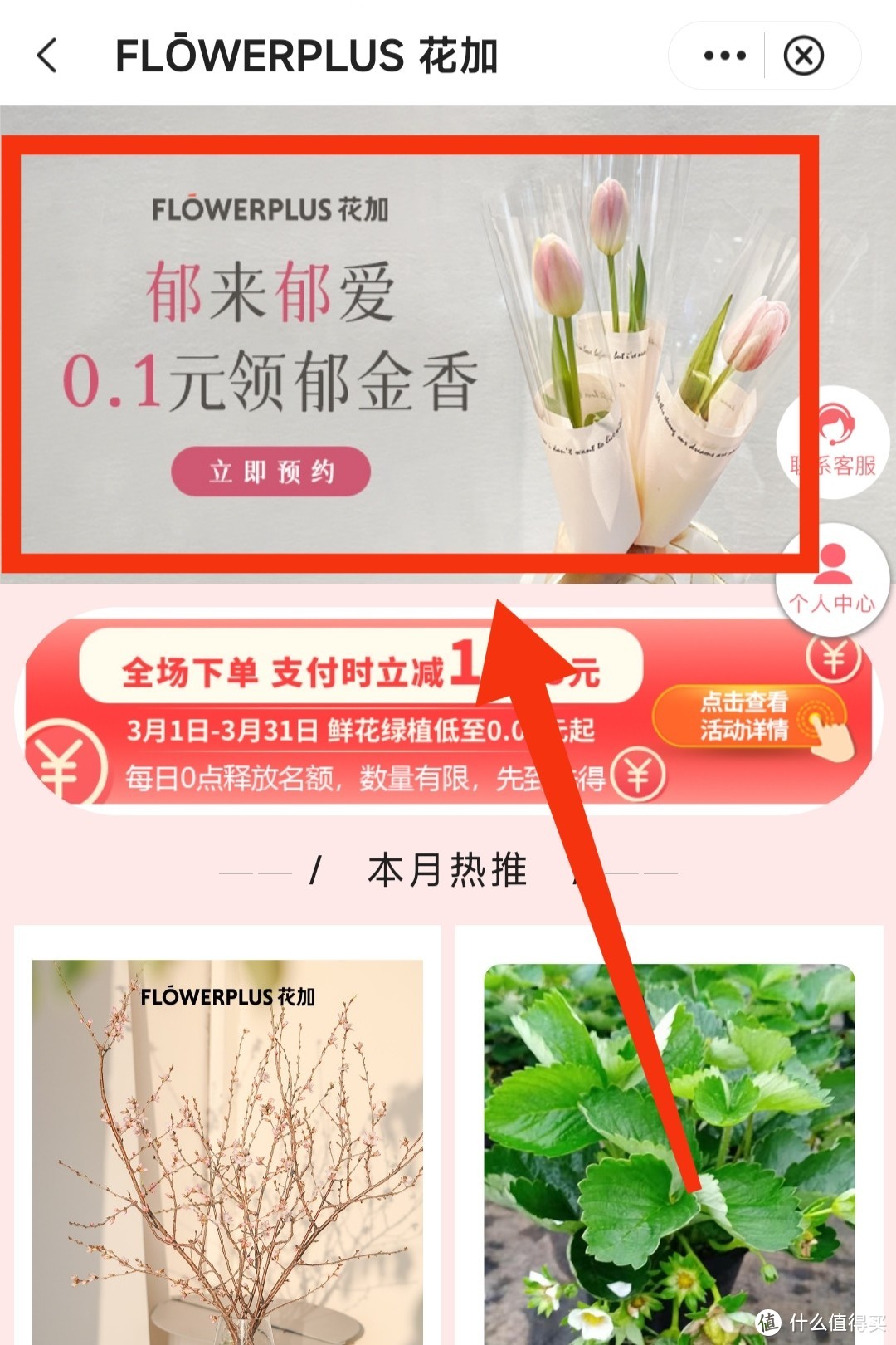中国银行上海用户福利！0.1元领郁金香或绿植～31号截止～集美们行动起来～