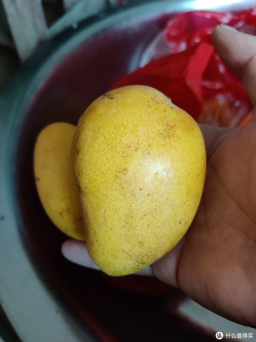我的减脂期间水果之芒果