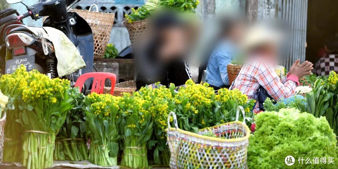 云南人又在吃春天了，带值友们逛逛云南各地的菜市场