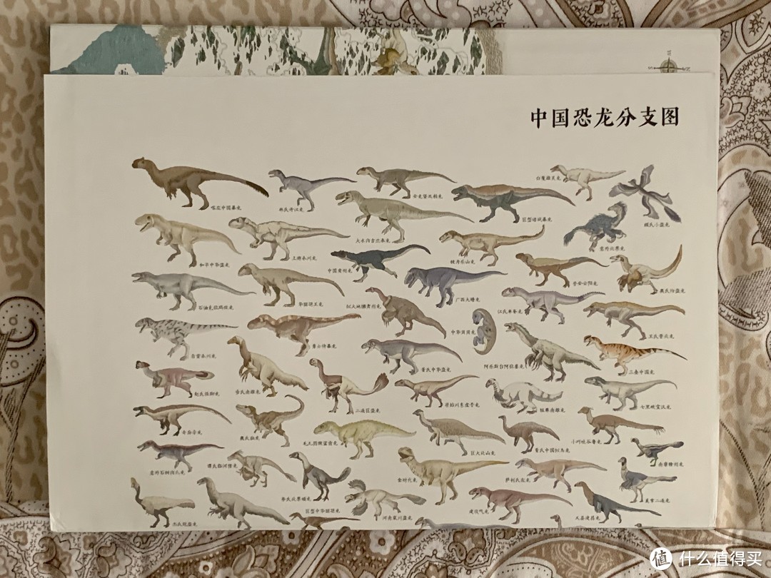 恐龙，站立于大地上-小评《中国恐龙地图》
