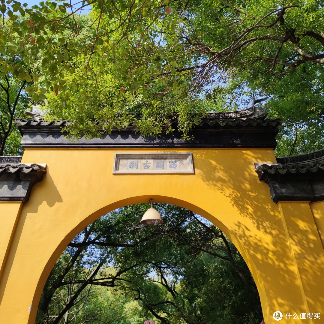 初春踏青苏州游之西园寺（大量猫照，慎入）