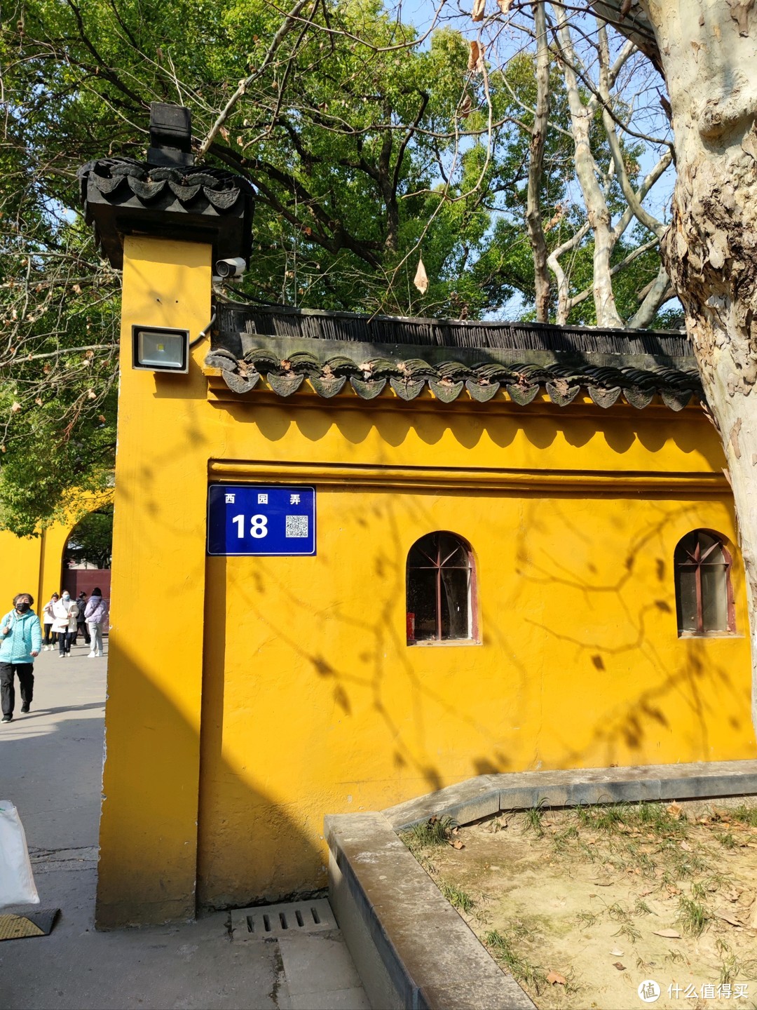 初春踏青苏州游之西园寺（大量猫照，慎入）