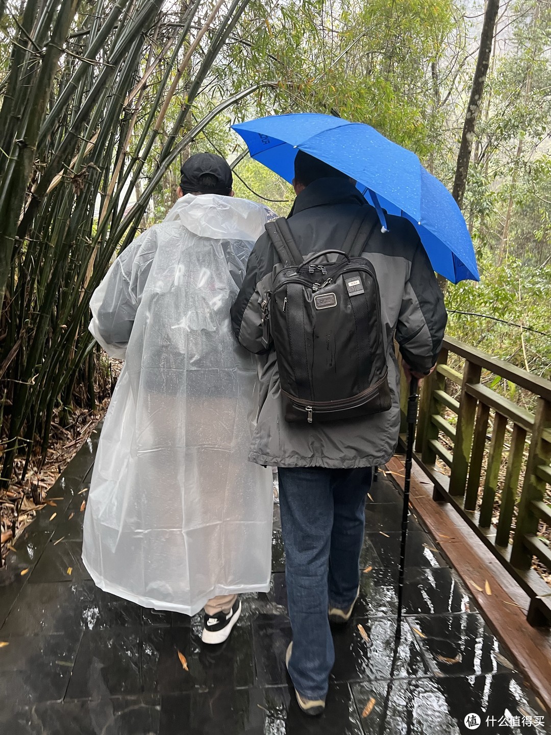 雨中山间徒步，这个应该很减肥