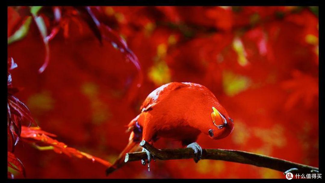 超越“中杯”的实力表现 索尼VPL-XW7000激光4K家用投影机详测