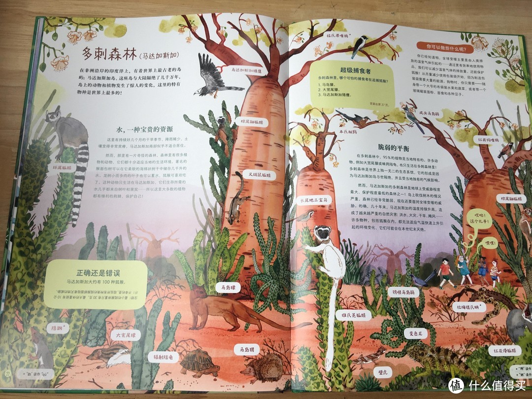 植树节看《世界森林地图》：生态教育、环境教育的好读本