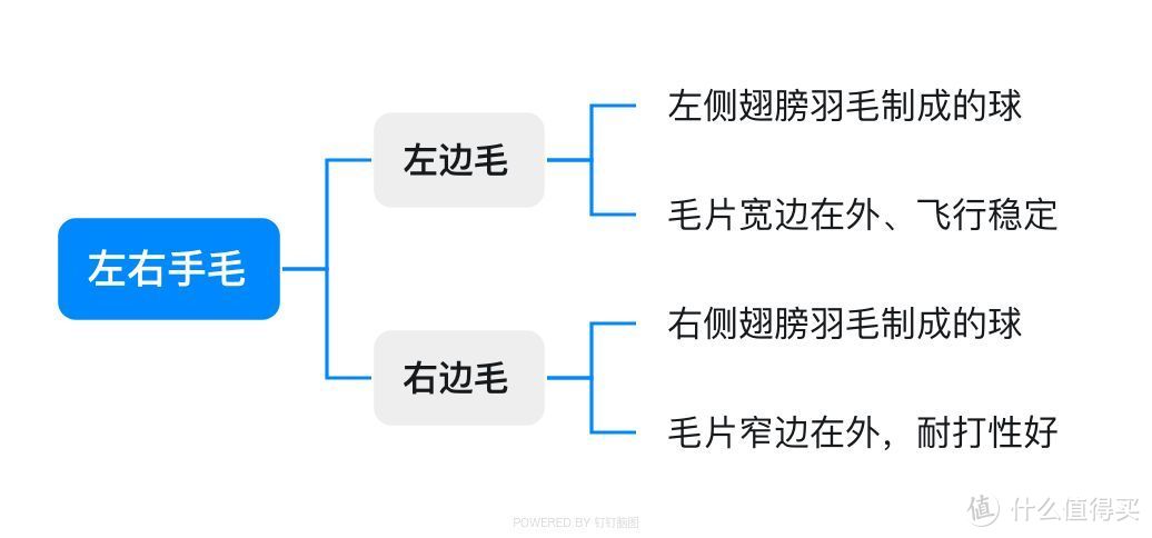 用我10年+羽球经验告诉你，选对羽毛球是个学问（4千字选购经验让你买对）