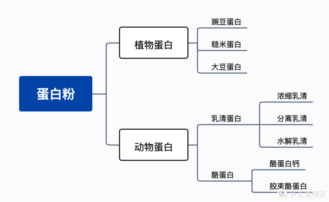 全民众测：冲了10款优质蛋白粉！哪款能让我增肌减脂事半功倍？10位站内值友来帮你亲测不踩坑！