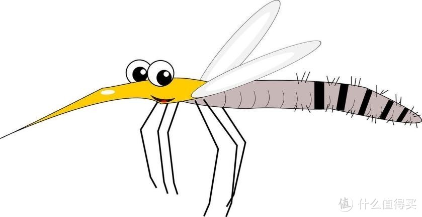招蚊体质还有救！一篇文章教会你如何挑选正确的驱蚊产品