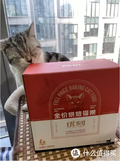 ​看完猫粮内幕，我把进口猫粮换成了国产