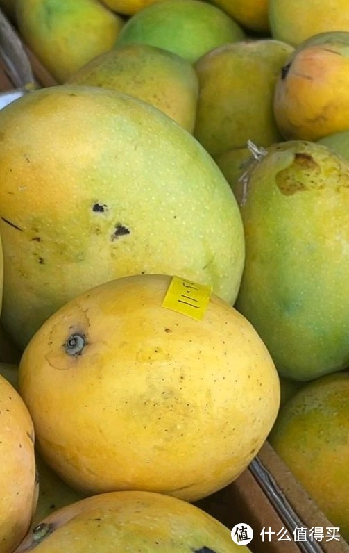 芒果品种那么多，什么时候吃最好呢，一文了解。