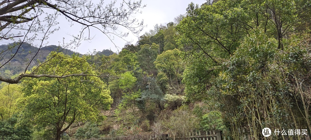 雁荡山～灵峰游记/东瑶台西瑶台/杨过和小龙女曾经来过的地方/杨过练剑台/玉女心经，瑶池圣地/攻略