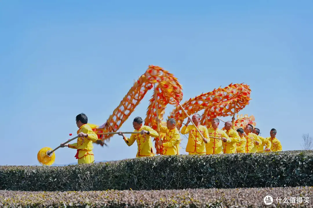 3月来浙江玩什么？这3座特色茶园必打卡，遇见江南大美春景