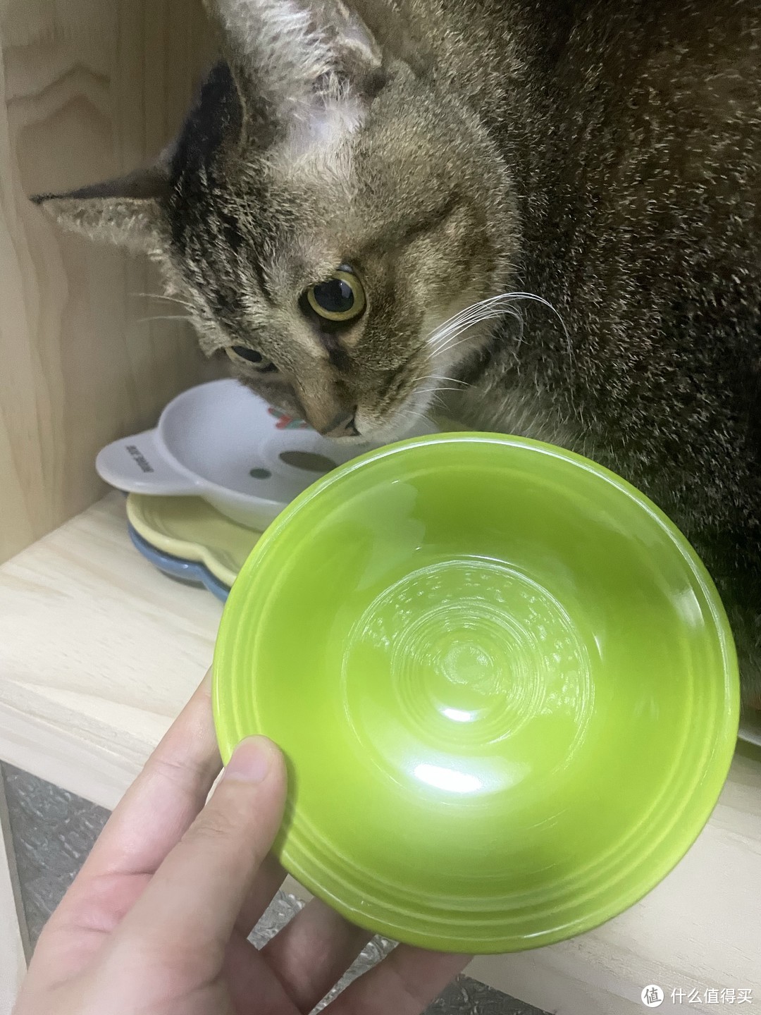 分享一些猫咪高颜值餐具