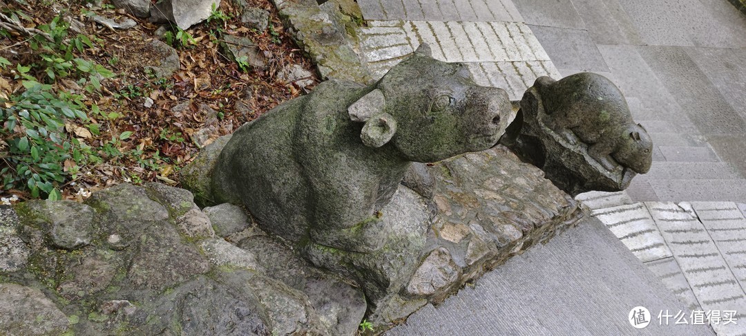 雁荡山/观音洞游记攻略民宿/住宿餐饮/十二生肖雕塑/山涧的庙宇看起来怎么样？爬山经验