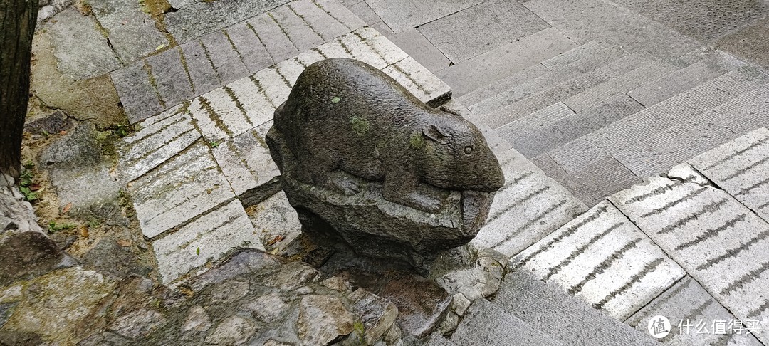 雁荡山/观音洞游记攻略民宿/住宿餐饮/十二生肖雕塑/山涧的庙宇看起来怎么样？爬山经验