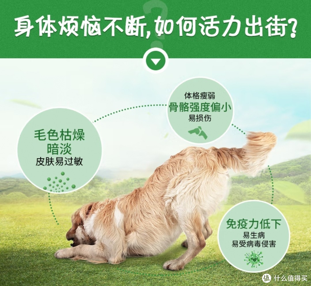 春天到了，天干物燥，狗粮可以进行囤货了（一）：麦富迪狗粮藻趣儿15kg 评测