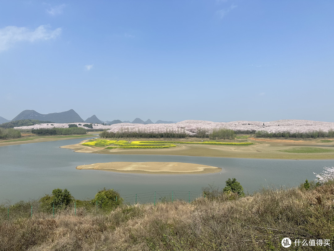 樱花季——武汉南京无锡平坝