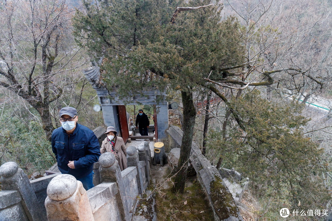 池子后面的山，不高但是很陡峭。