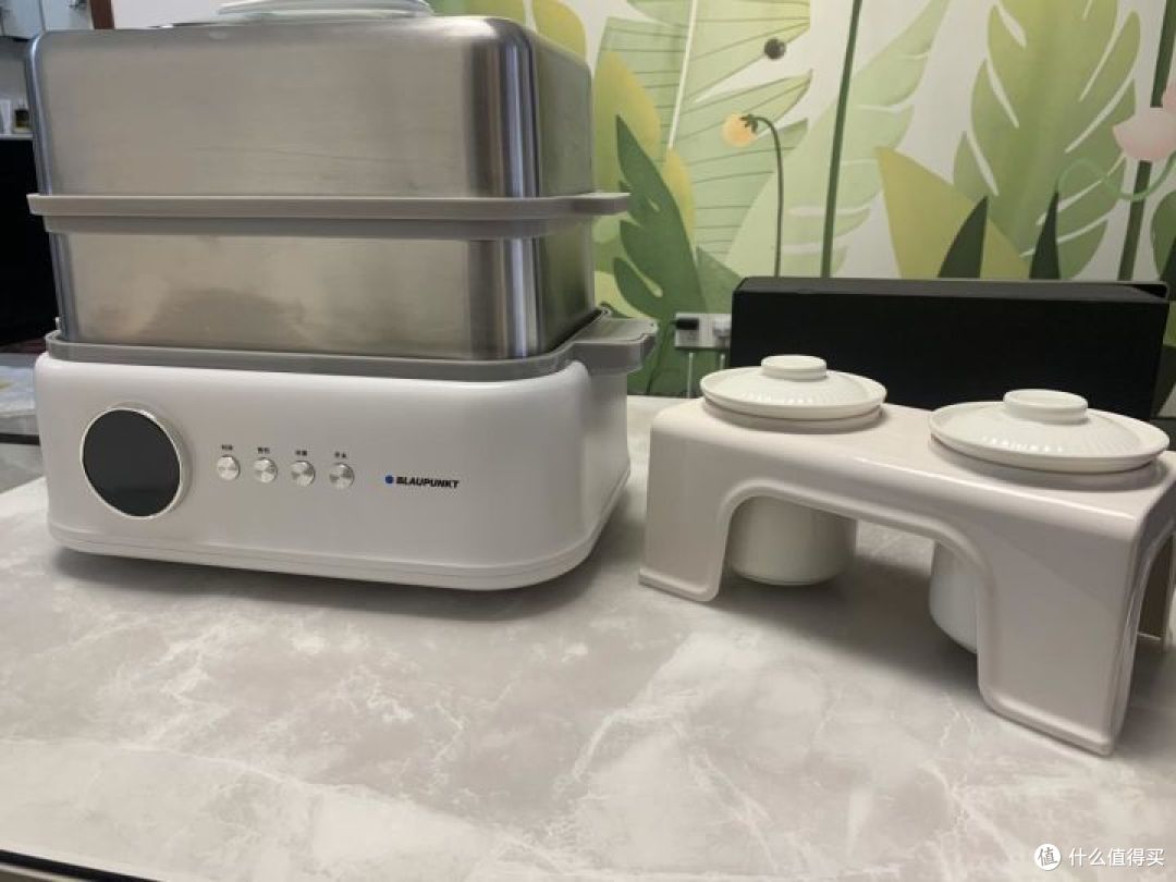 电蒸锅到底该如何选择，电蒸锅有必要买吗，作为家庭大厨，怎么在选购电蒸锅中避坑，这几款电蒸锅绝对值得入手。