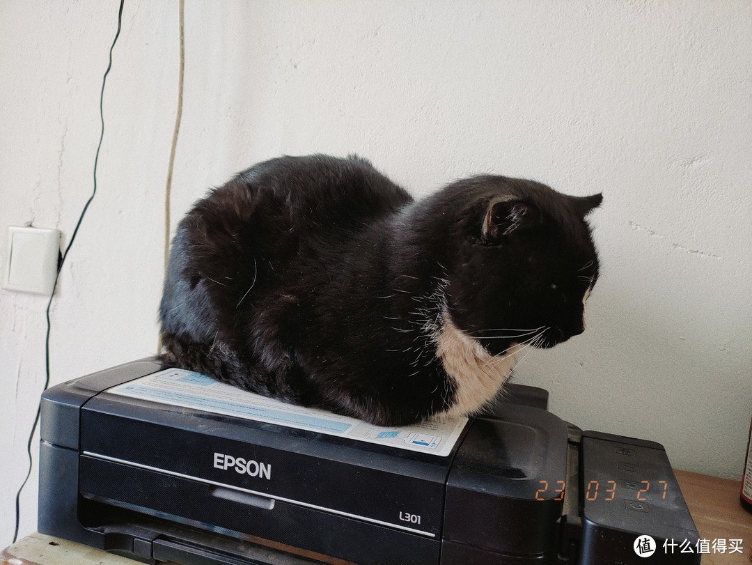 喷猫打印机本体。