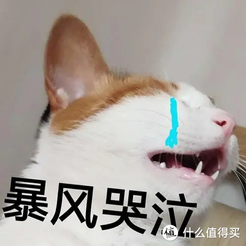 【前沿】深扒热水器选购及水电改造猫腻！燃气和电热到底哪个好？海尔美的史密斯卡萨帝佳尼特统帅……