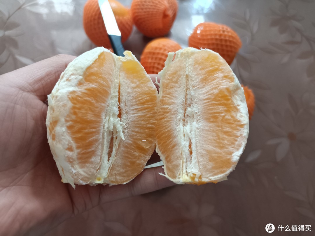 芭乐果园还真的能种出来水果：这个橙子味道真不错！