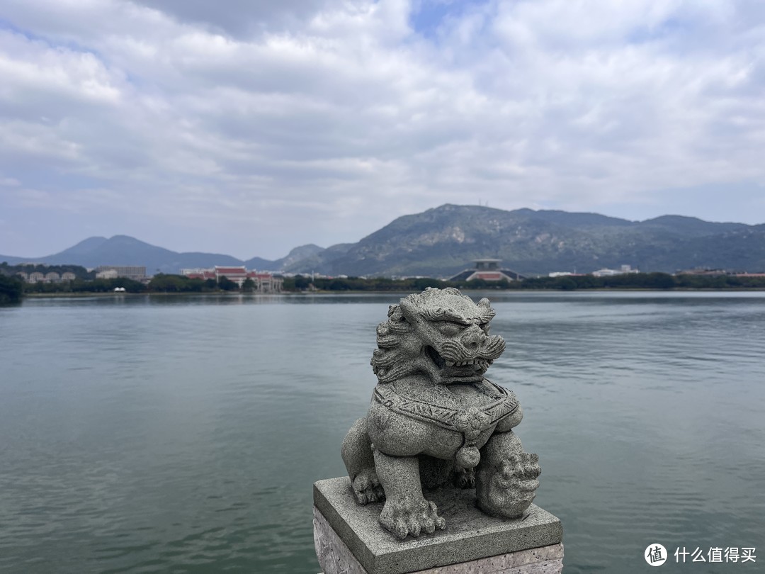 泉州游记丨刺桐花开满鲤城，半城烟火半城仙。