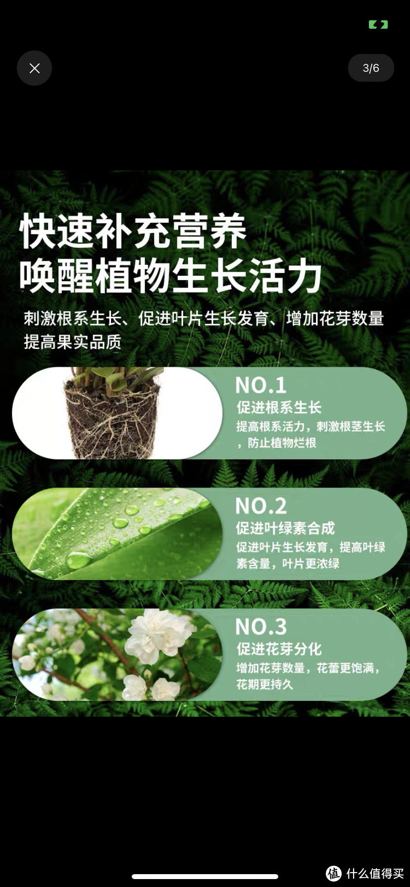 肥料决定植物的生长是真的吗