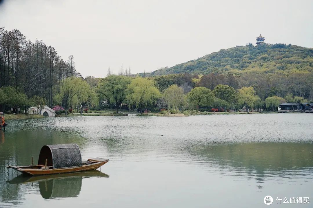 春天最不该被忽略的城市，满城樱花，错过再等一年