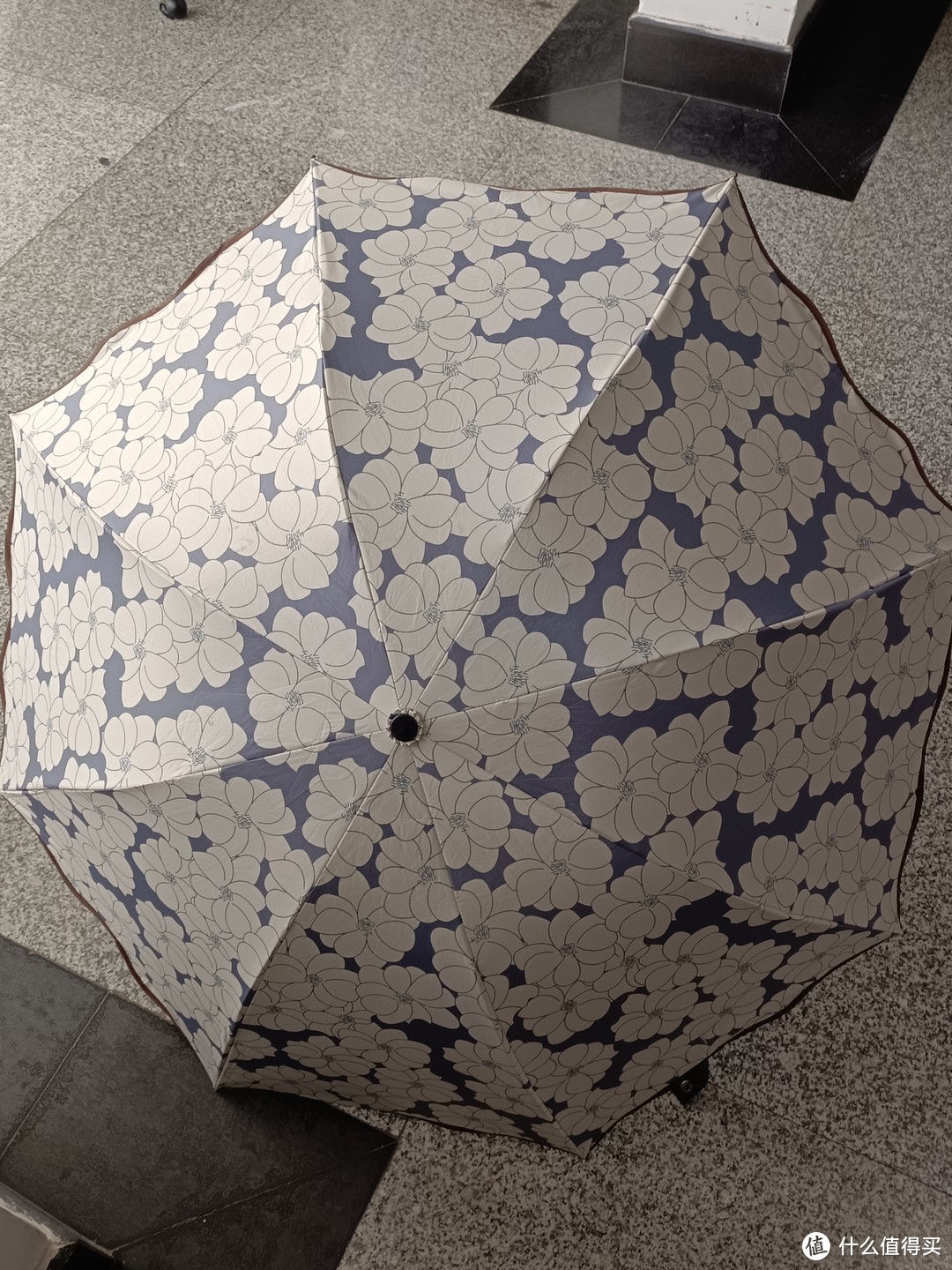 日常小清新晴雨两用雨伞🌂