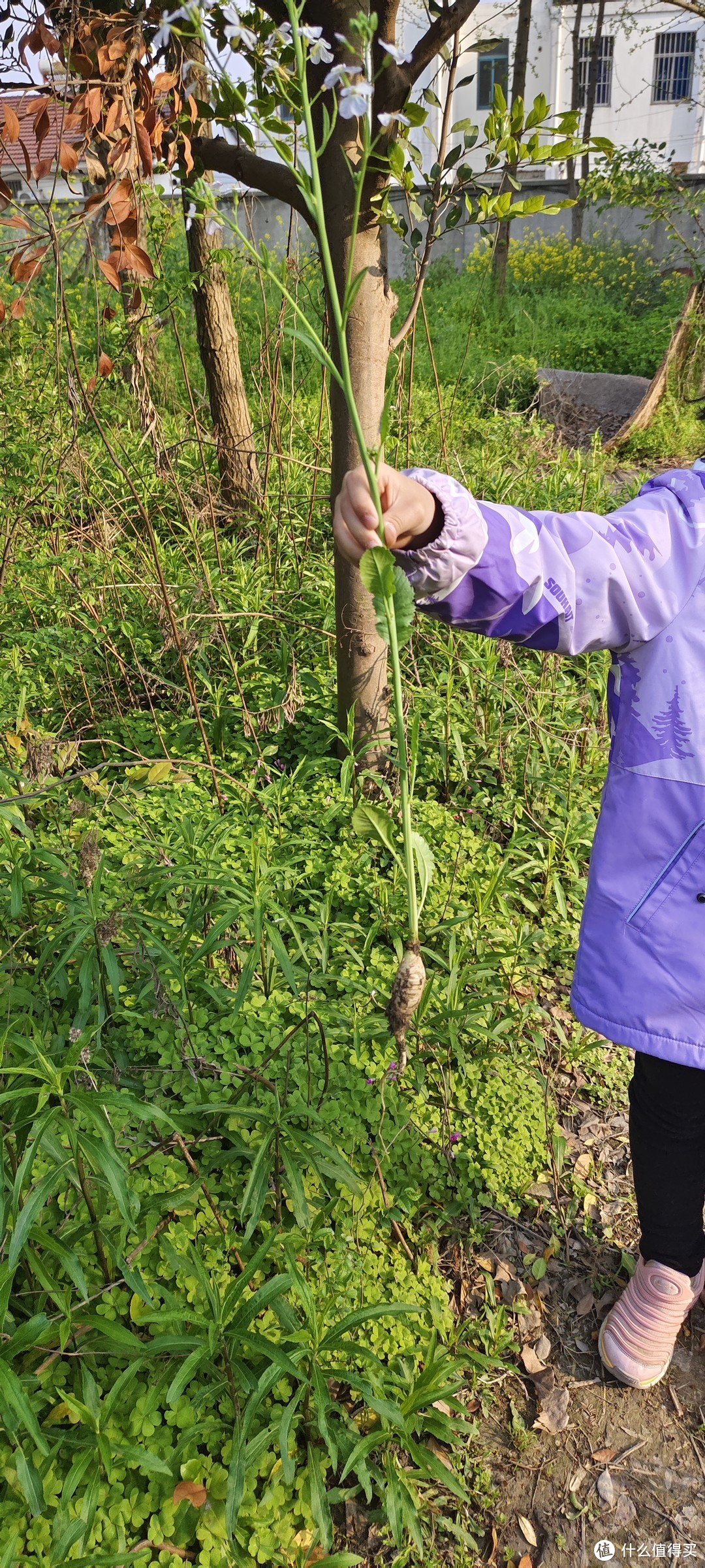 骑行露营🏕好选择/这是一个无人知道的公园/幽静生态园/蓝天白云生态园/闵行徐汇澄江路景东路/春日游记