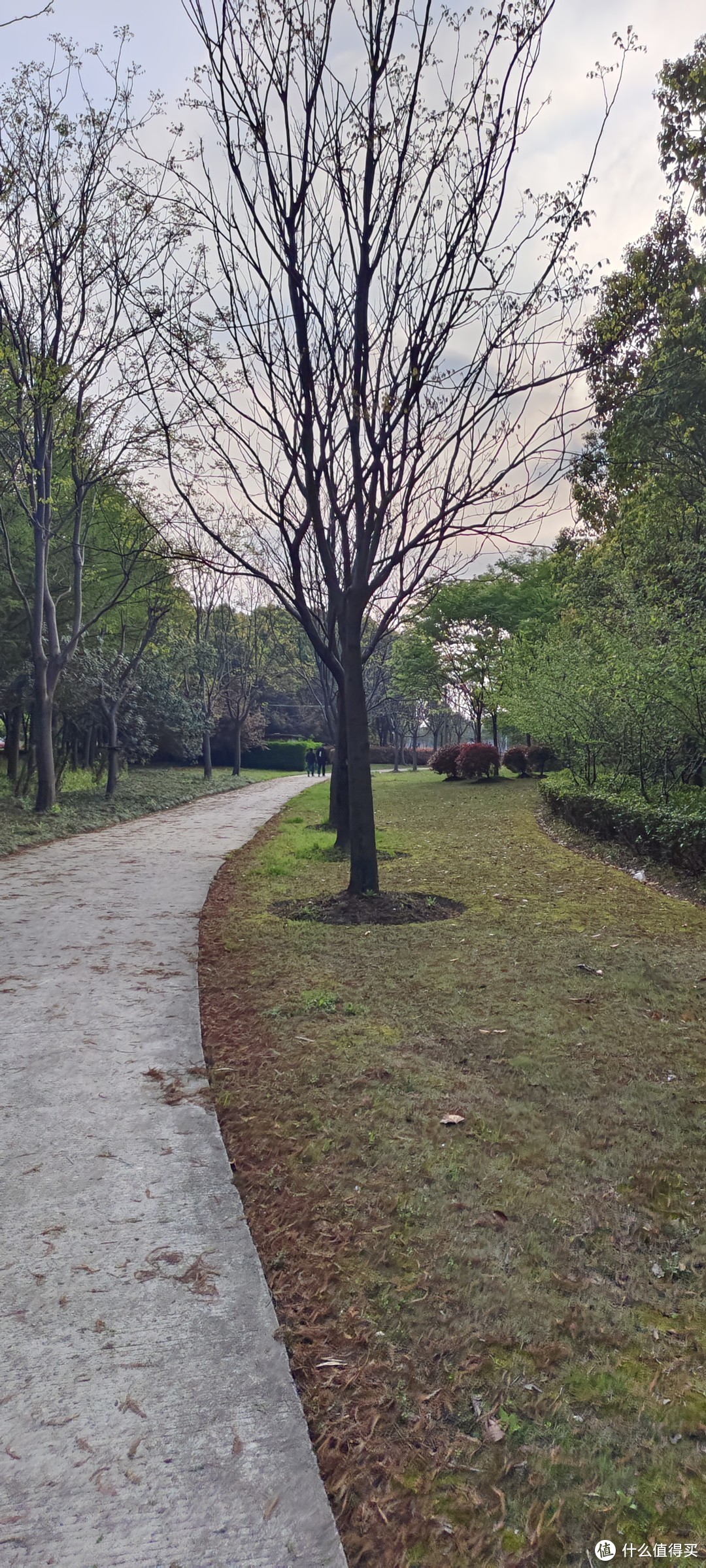 骑行露营🏕好选择/这是一个无人知道的公园/幽静生态园/蓝天白云生态园/闵行徐汇澄江路景东路/春日游记