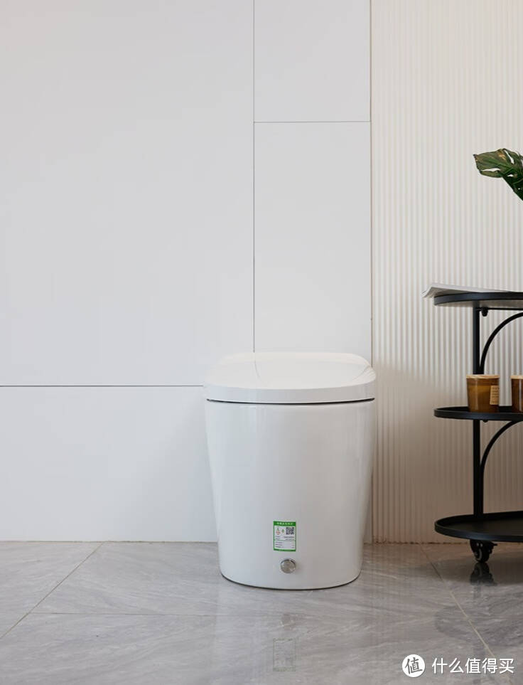 智能马桶一体机，舒适更方便，带给我们更好的厕卫环境