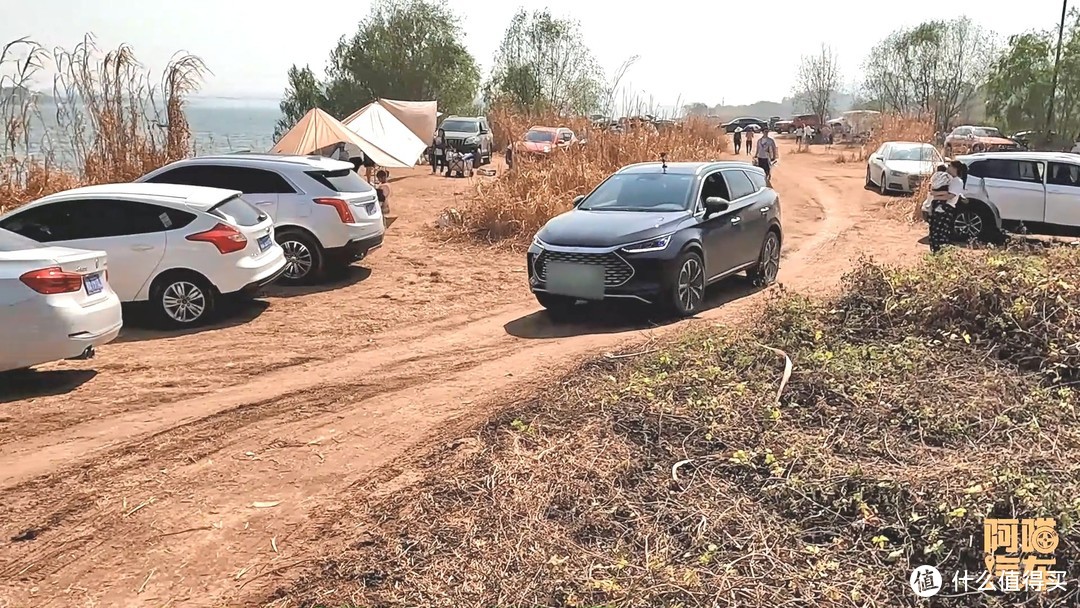 乘联会建议取消绿牌，绿牌的优势没有了，你还会考虑新能源车吗