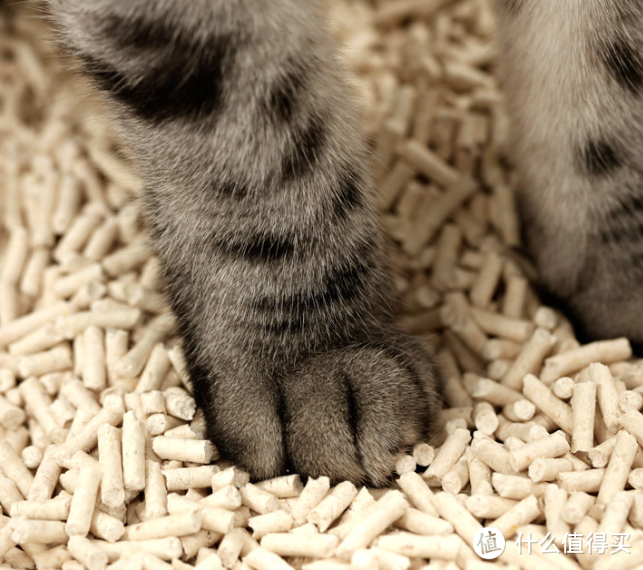 猫砂中的精品无尘矿砂，除臭力强终结沙尘风暴