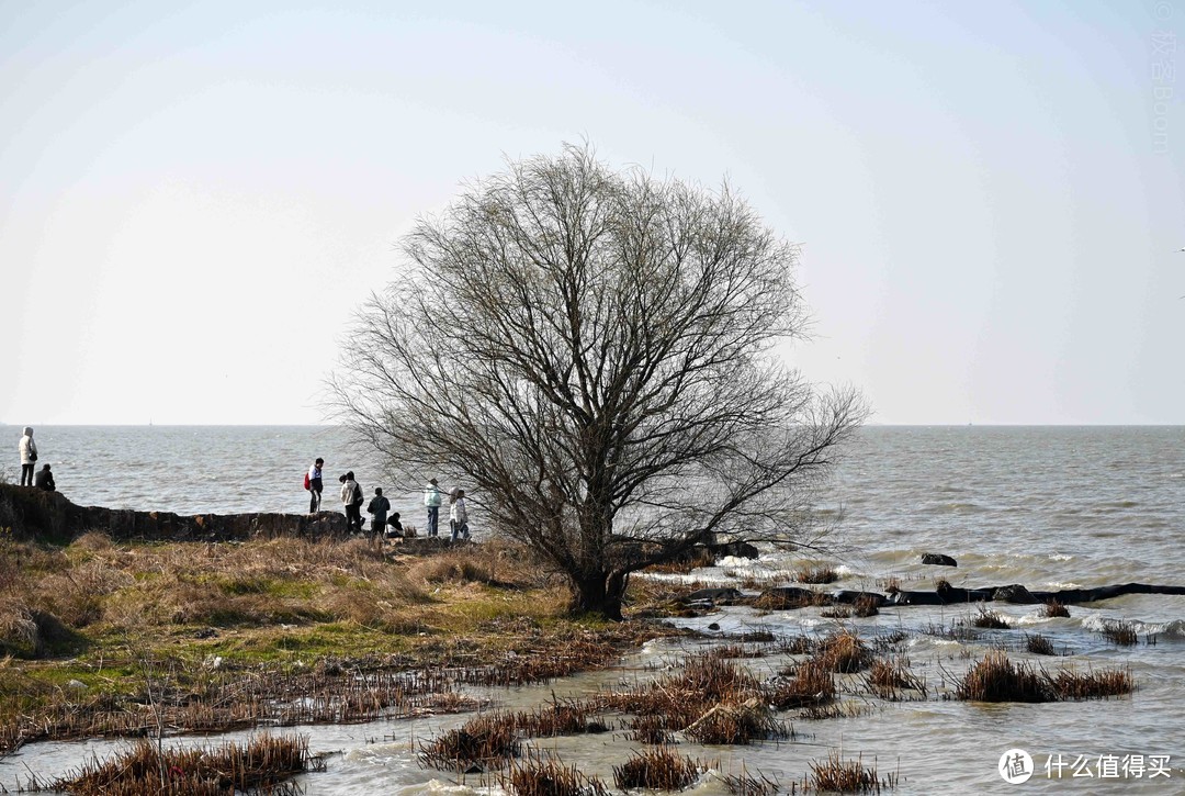 是湖是海，都不重要：太湖西山岛游记及经验建议