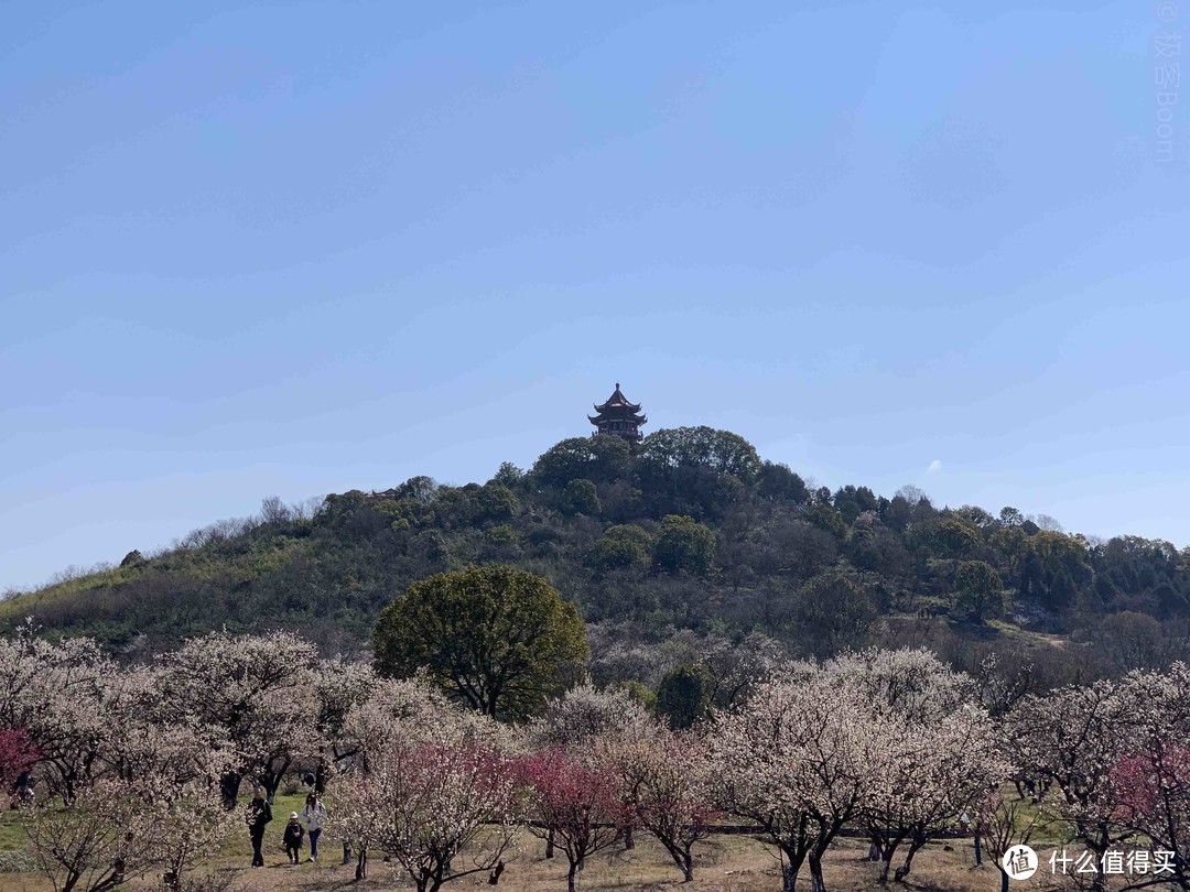 是湖是海，都不重要：太湖西山岛游记及经验建议