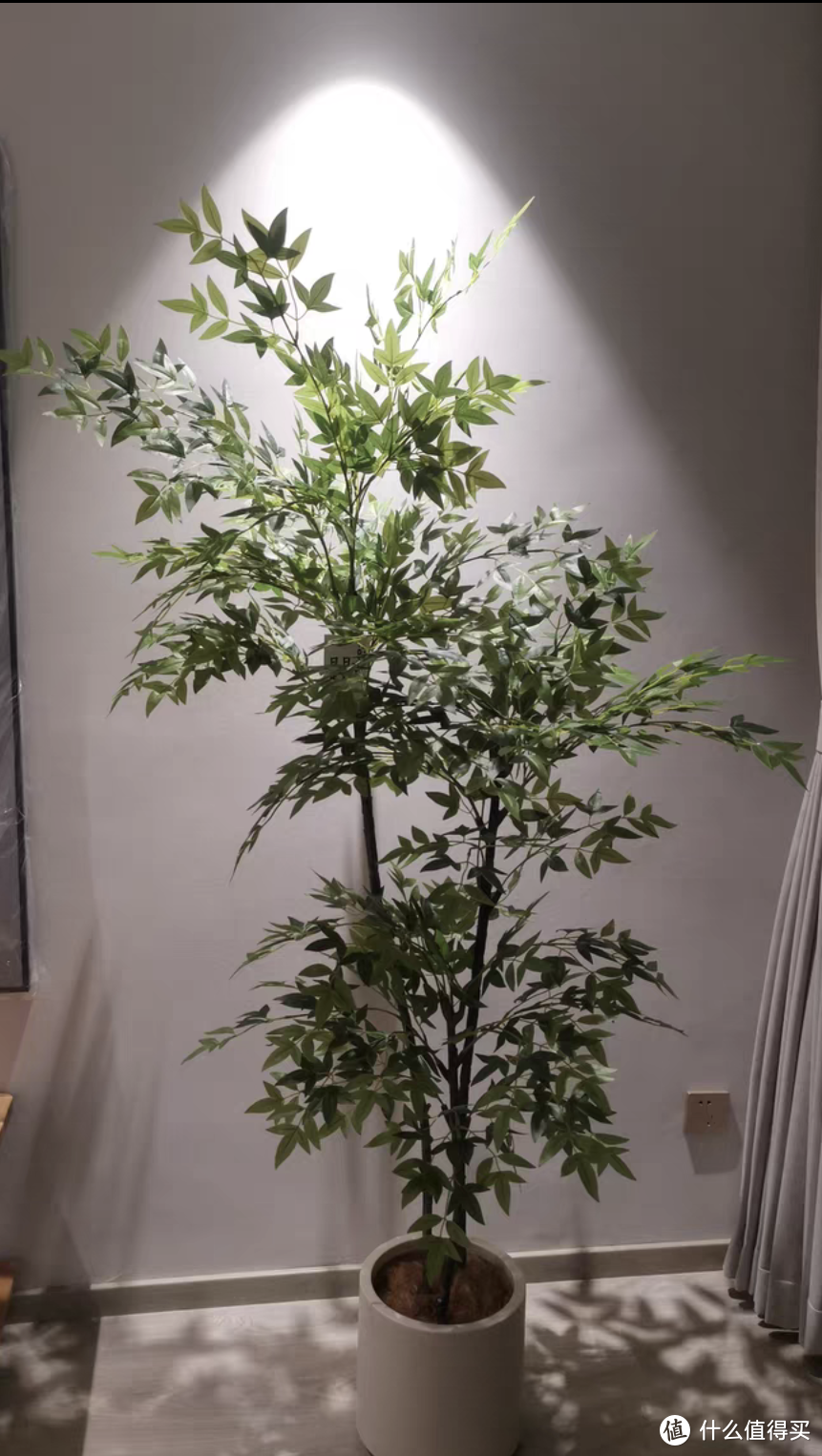 仿真植物放在新房子里好吗？