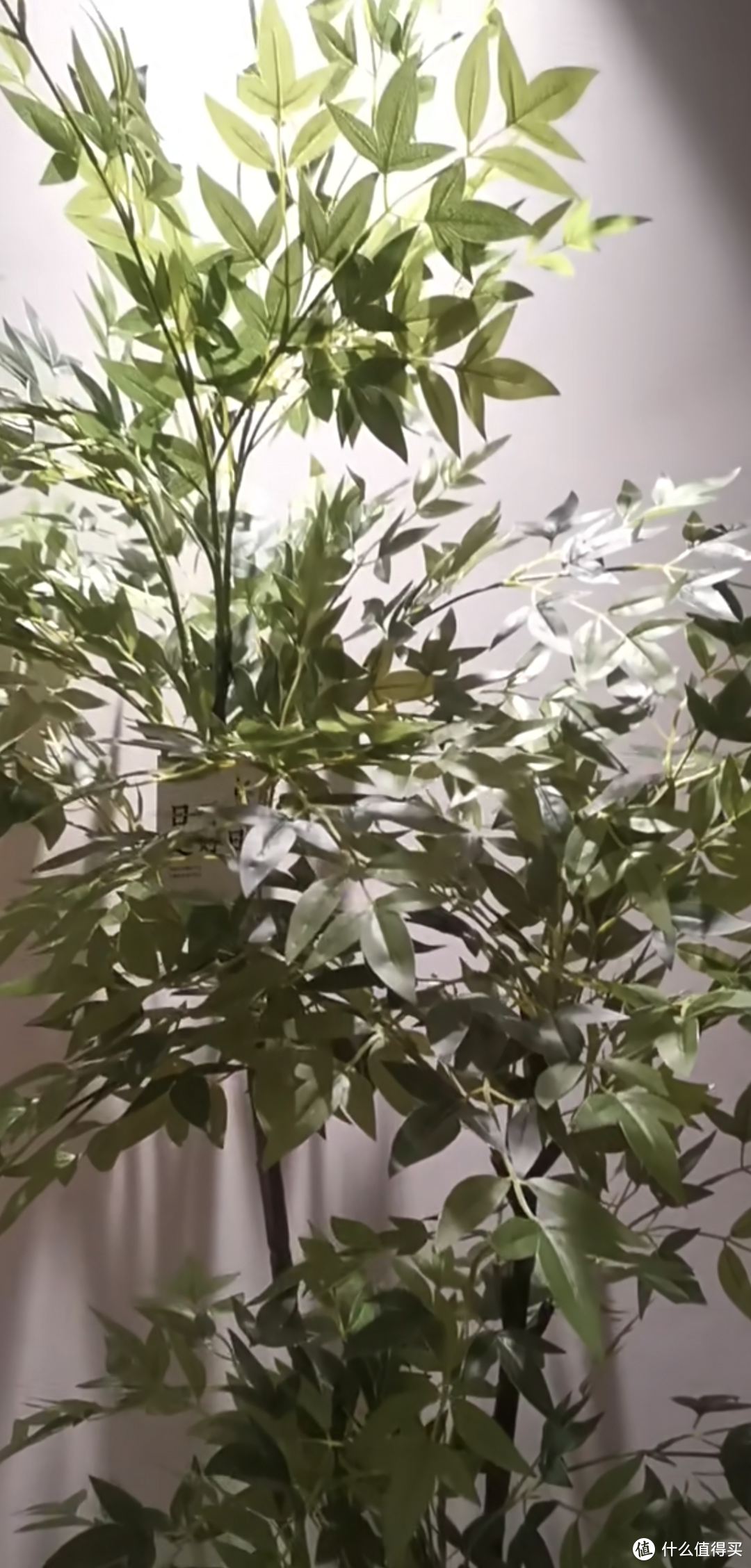 仿真植物放在新房子里好吗？