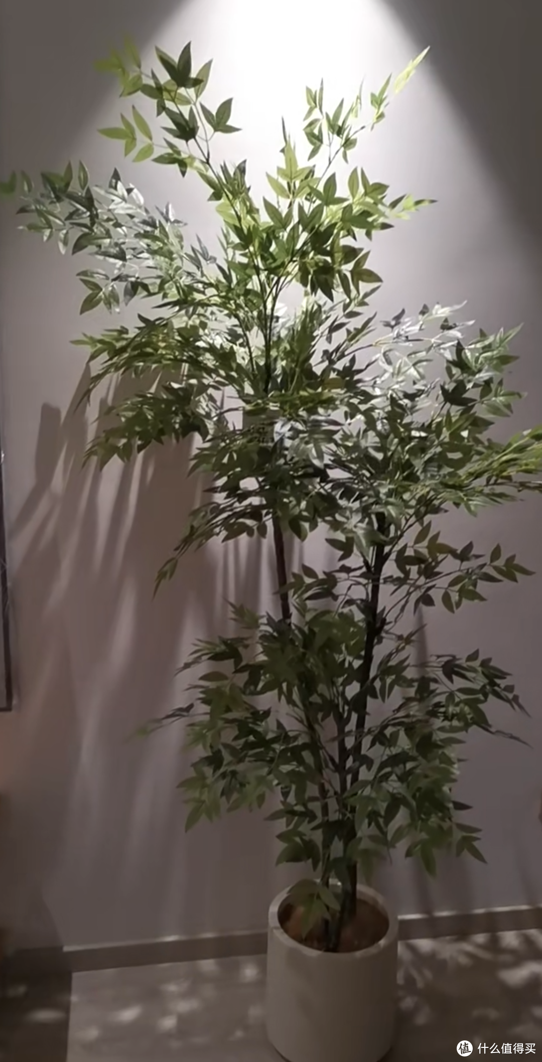 仿真植物放在新房子里好吗？