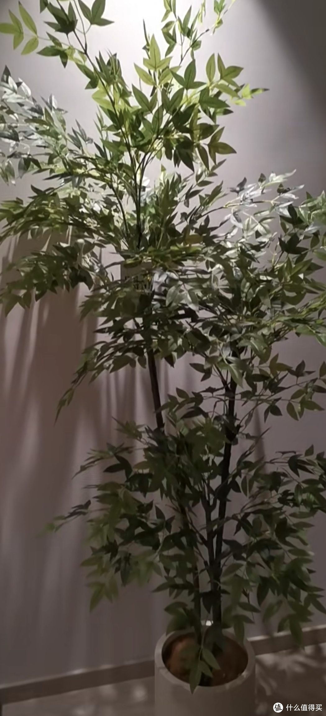 仿真植物放在新房子里好吗？