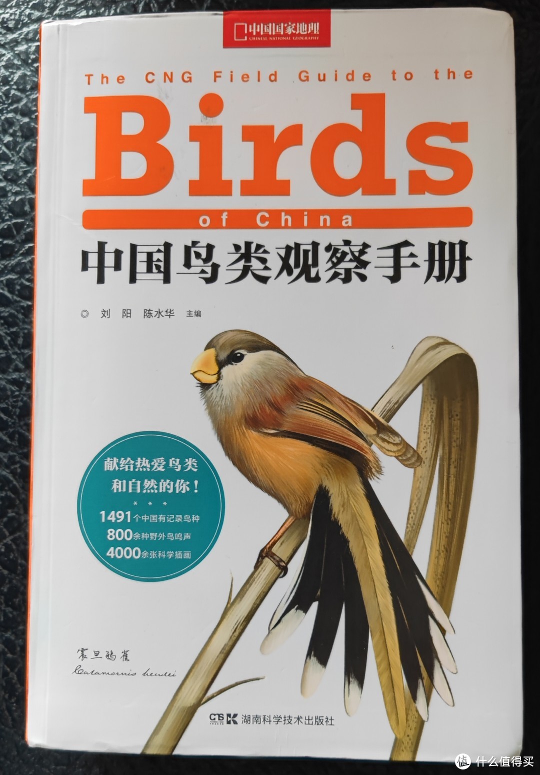 “鸟人”入门必备工具书推荐《中国鸟类观察手册》和《野外观鸟手册》。