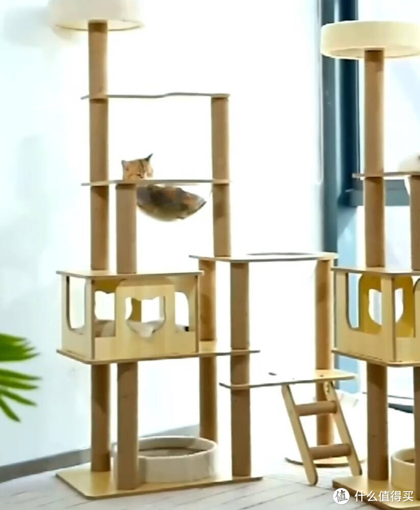 大家来看看我选的猫爬架，给猫主子打造一个嬉戏乐园